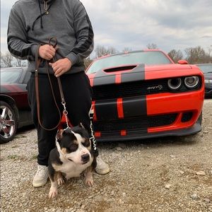 Meet your Posher, Jeremy